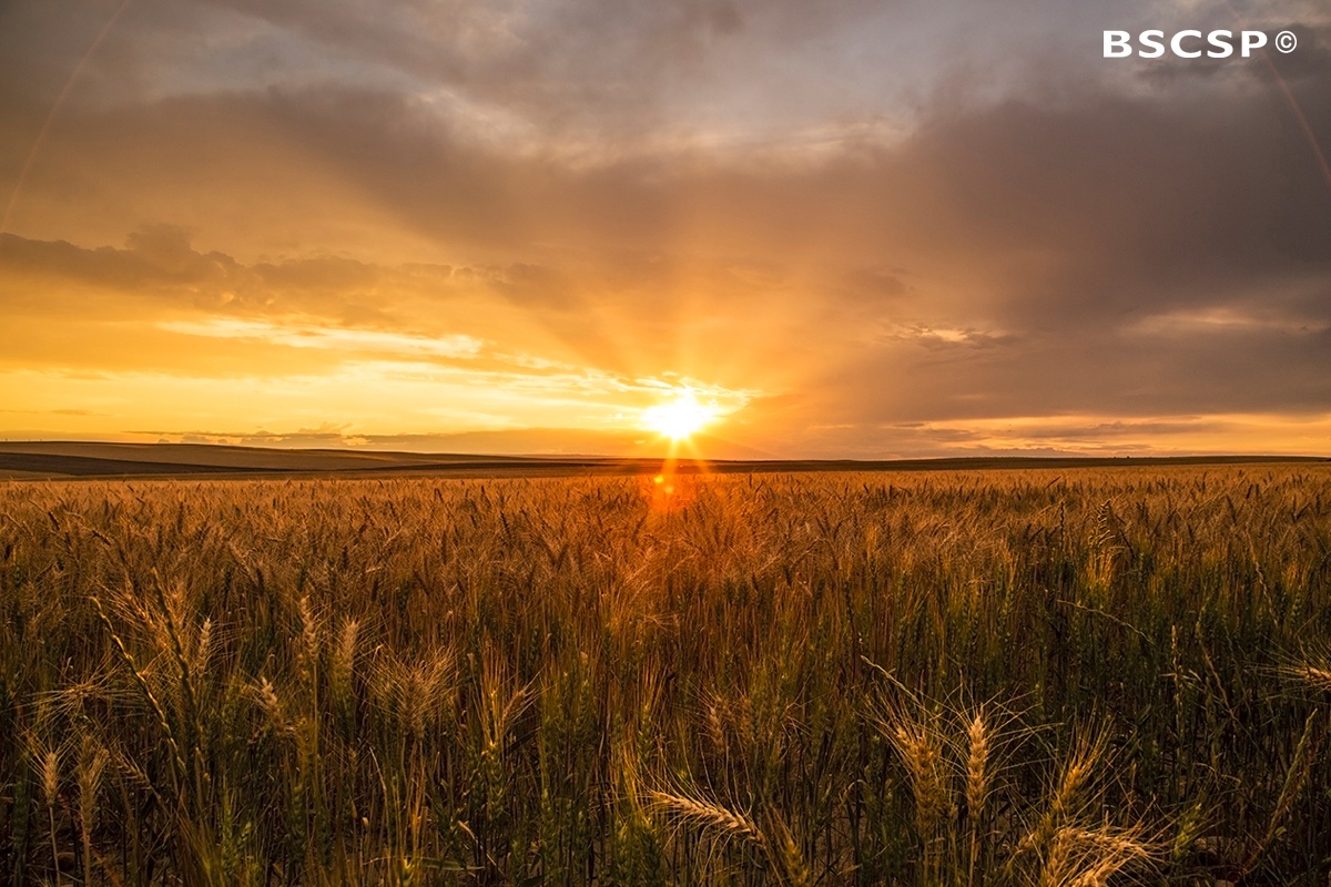 Sunset in Big Sky Country